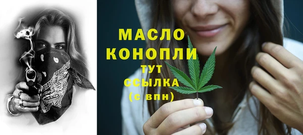 индика Нефтекумск