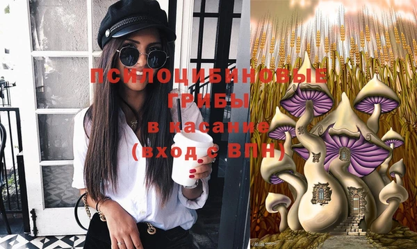 MESCALINE Надым