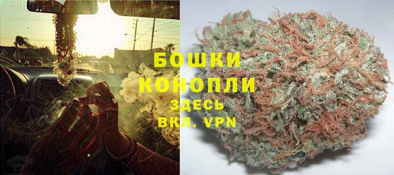 где можно купить   Арск  Каннабис THC 21% 